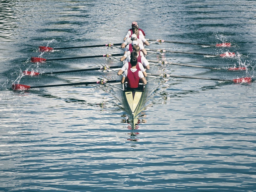 A rowing crew, oars synchronised, seen from behind on open water.